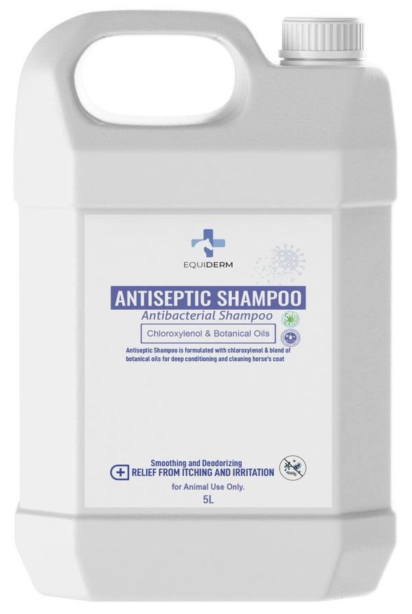 Antiseptic Antibacterial Shampoo 5Liter - Shopivet.com