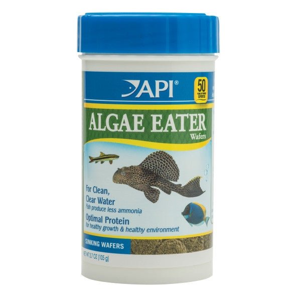API ALGAE EATER WAFERS FISH FOOD, 3.7 OZ - Shopivet.com