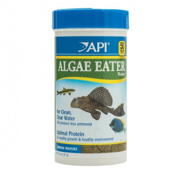 API ALGAE EATER WAFERS FISH FOOD, 6.4 OZ - Shopivet.com