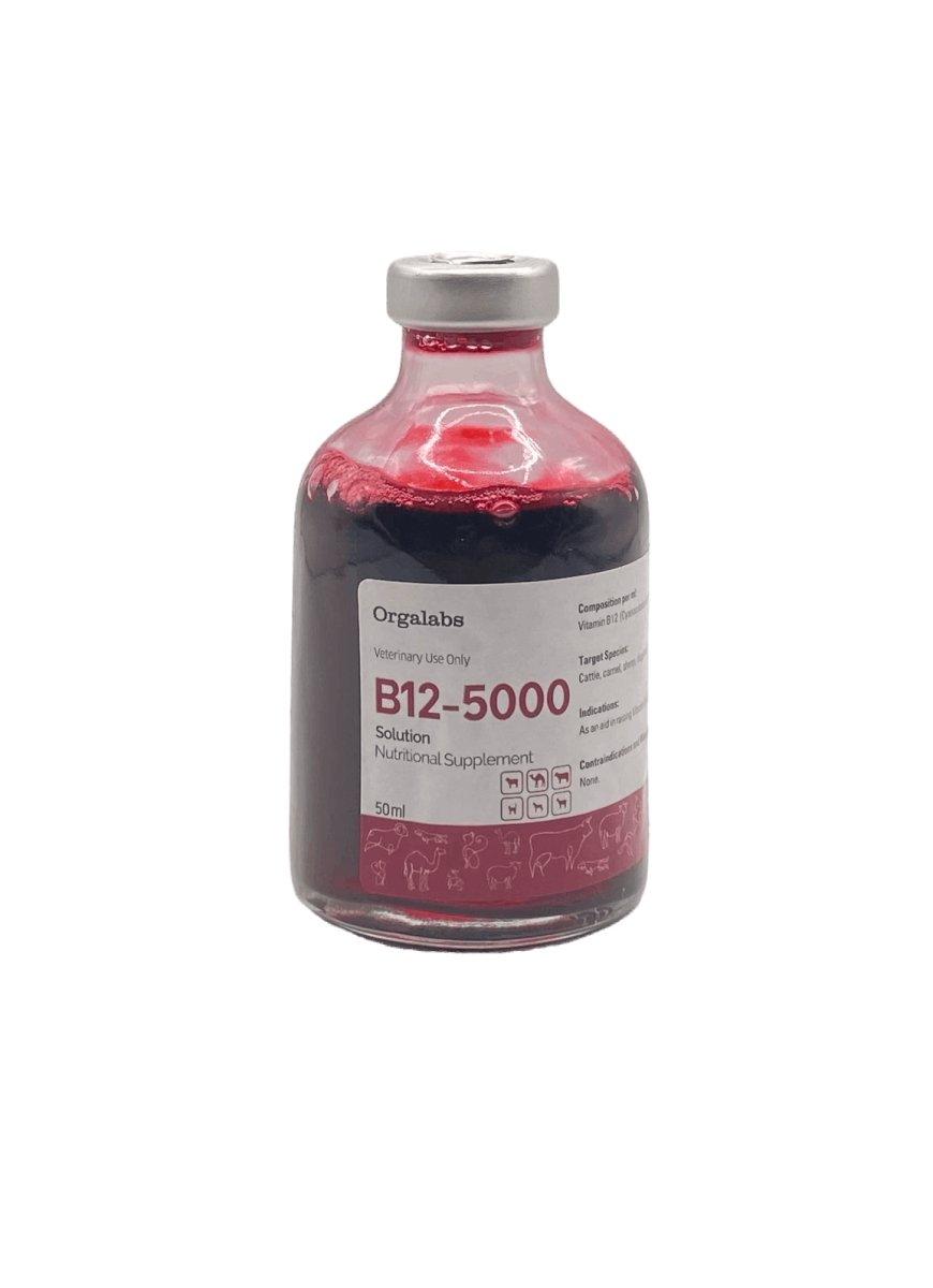 kinethera bpc 157 reddit Peptide BPC-157 kinethera bpc 157 reddit Peptide BPC-157