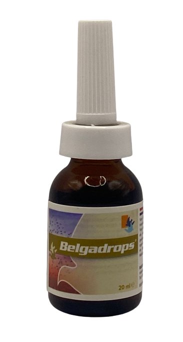 Belgadrop 20 ml - Shopivet.com