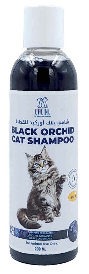 BLACK ORCHID CAT SHAMPOO 200ML - Shopivet.com