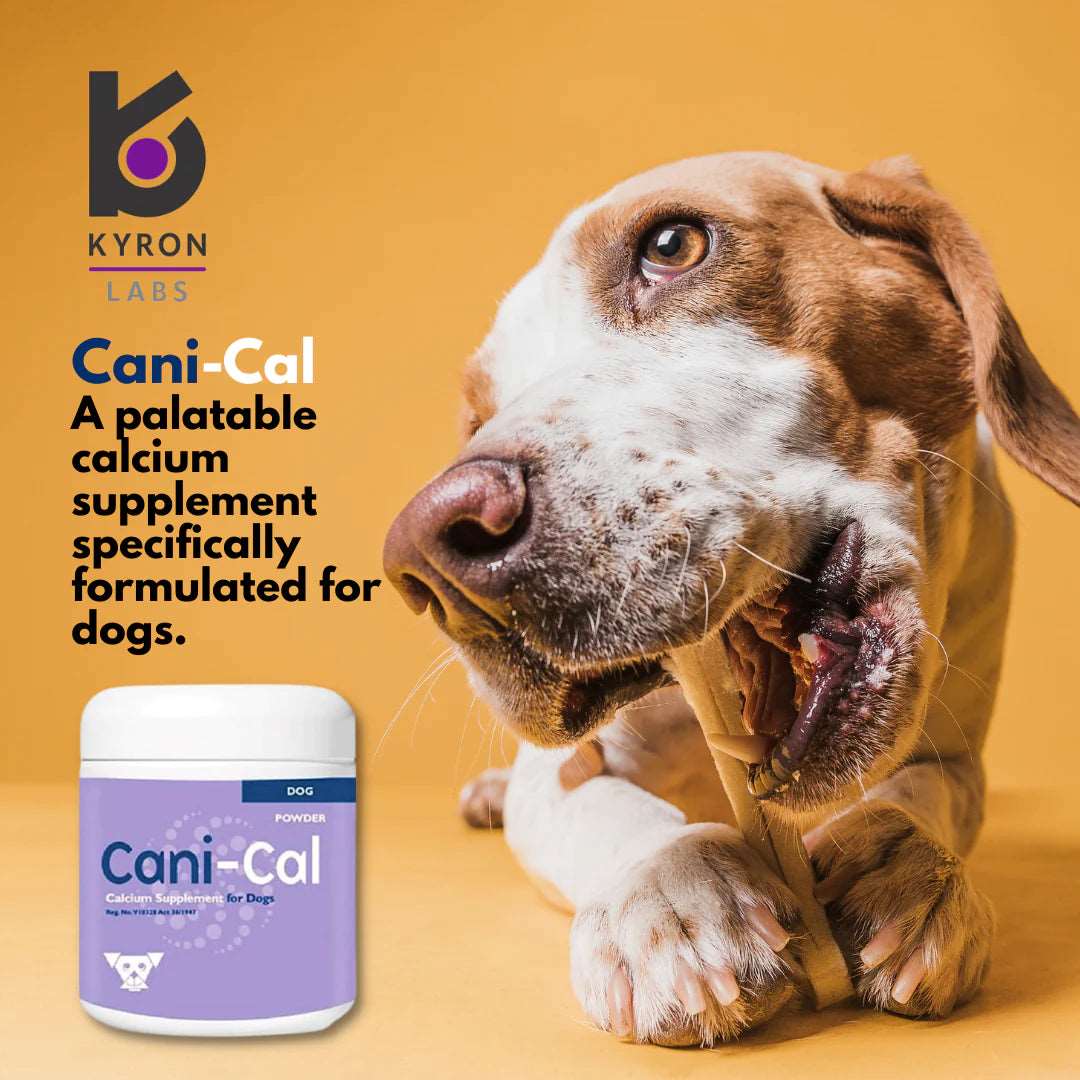 Cani-Cal Calcium Supplement - Shopivet.com