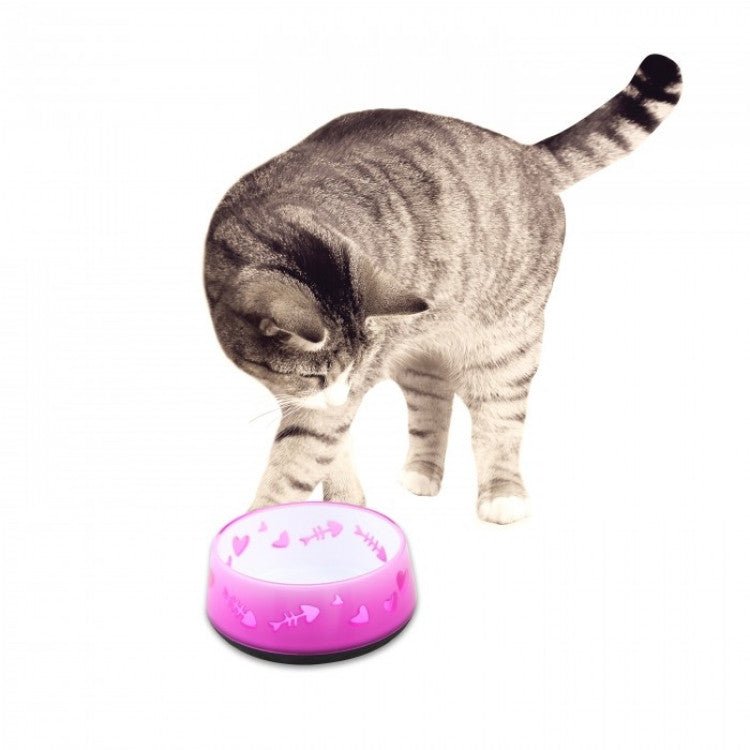 Cat Love Bowl - Shopivet.com