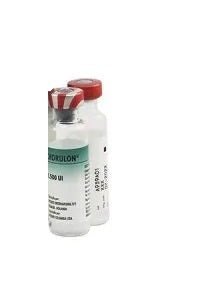 Chorulon 1500IU 1 Vial - Shopivet.com