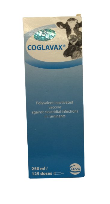 Coglavax 250ml - Shopivet.com