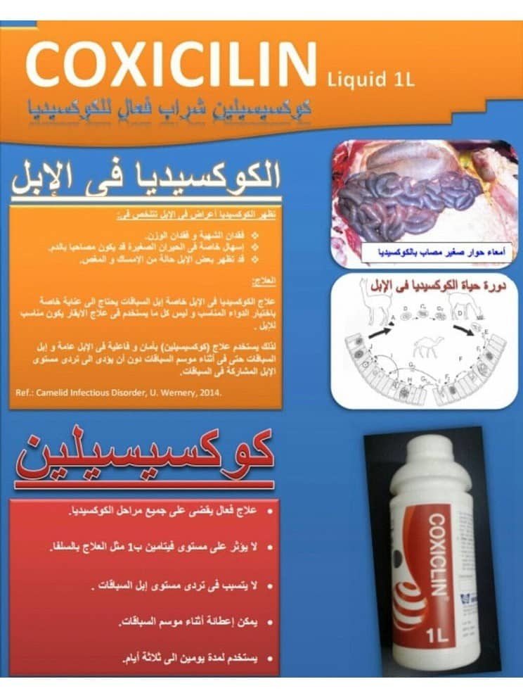 coxiclin 1 liter - Shopivet.com