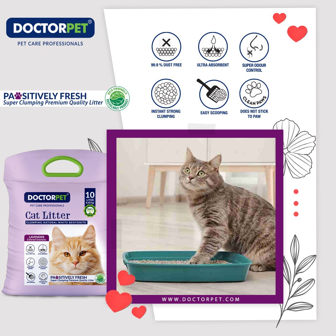 Doctor Pet CAT Litter Lavender 10L Tela - Shopivet.com