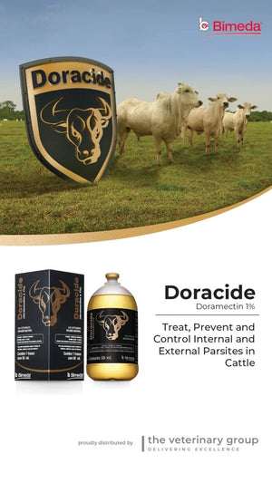 Doracide 50 ml - Shopivet.com