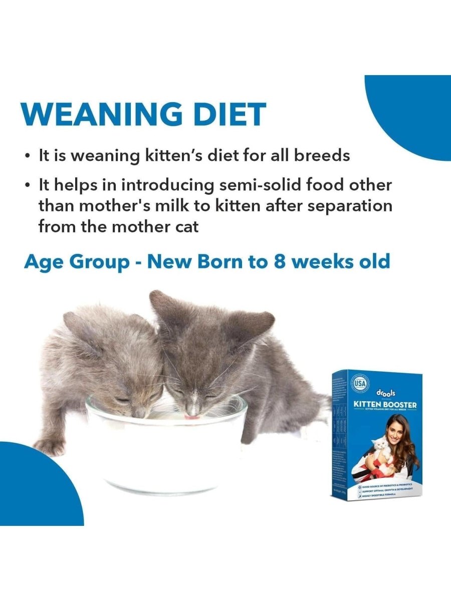 Drools KITTEN BOOSTER 300g - Shopivet.com