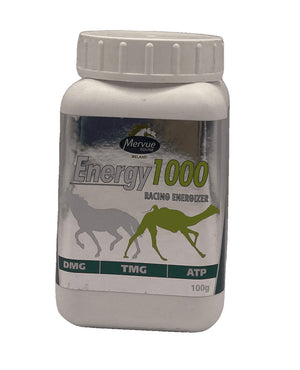 Energy 1000 Racing Energizer - Shopivet.com