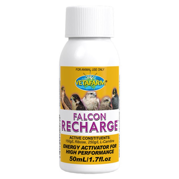 Falcon recharge 50 ml - Shopivet.com