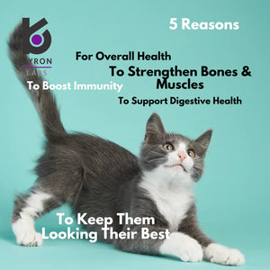 Feli-Vit Vitamin, Mineral and Protein Supplement - Shopivet.com
