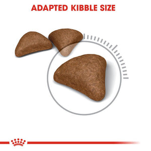 Feline Care Nutrition Hairball Care 400 g - Shopivet.com