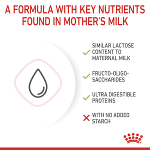 Feline Health Nutrition Babycat Milk 300 g - Shopivet.com