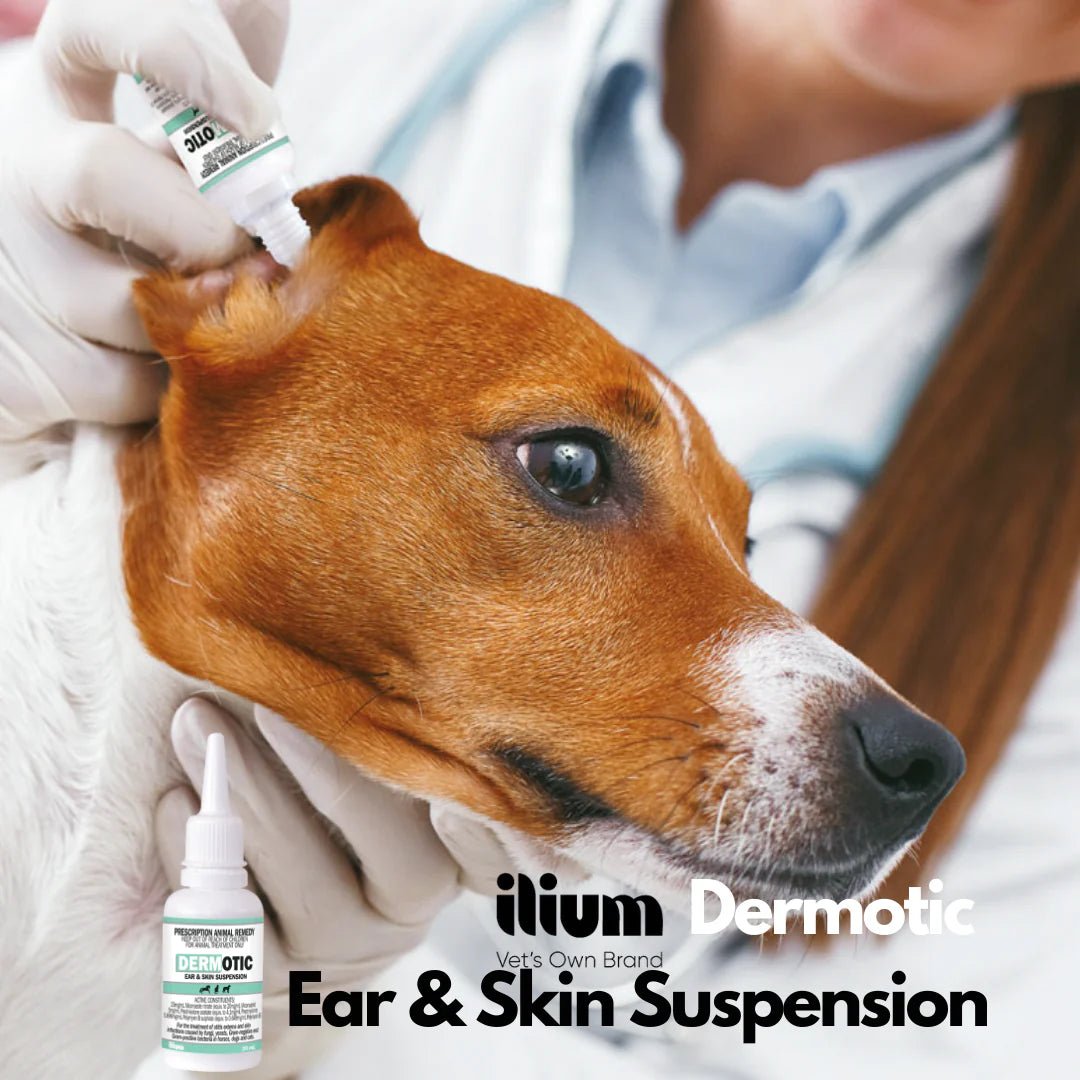 ilium Dermotic Ear & Skin Suspension 20ml - Shopivet.com