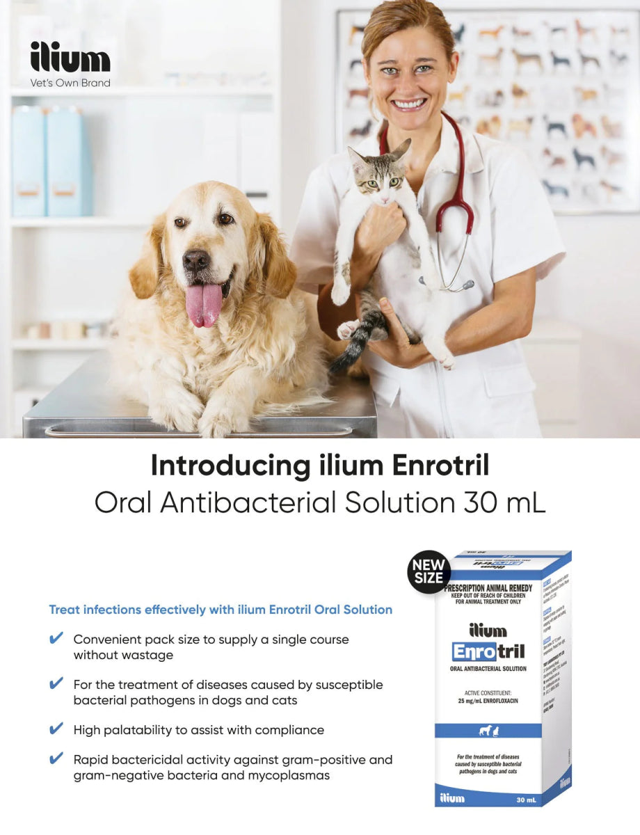 ilium Enrotril Oral Antibacterial Solution 30ml - Shopivet.com