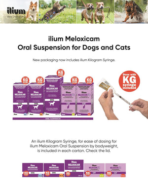 ilium Meloxicam 5 Injection 20ml - Shopivet.com