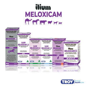 ilium Meloxicam Suspension 0.5 for Cats 10ml - Shopivet.com