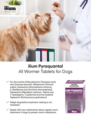 ilium Pyraquantal Allwormer 100Tablets - Shopivet.com
