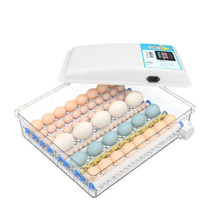Incubator 36 eggs China - Shopivet.com