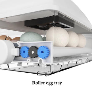 Incubator 64 egg China - Shopivet.com