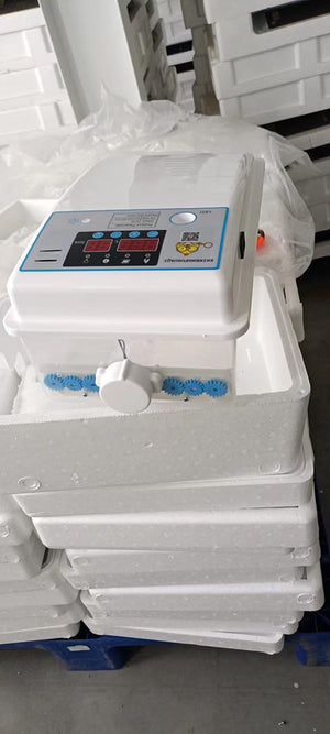 Incubator 64 egg China - Shopivet.com