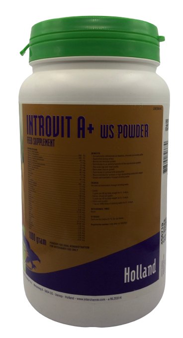 Introvit A+ WS powder 1kg - Shopivet.com
