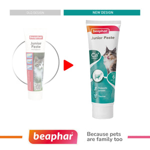 JUNIOR PASTE - CAT / 100 G - Shopivet.com
