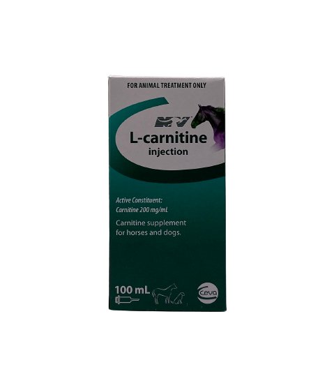 L-carnitine injection 100ml - Shopivet.com