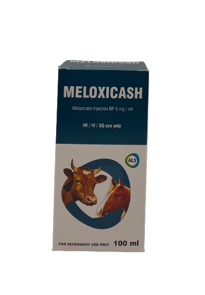 Meloxicash 5mg 100ml - Shopivet.com