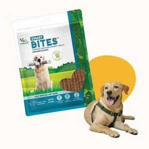 Natural Remedies Smart Bites Chew Treats for Dogs - Shopivet.com