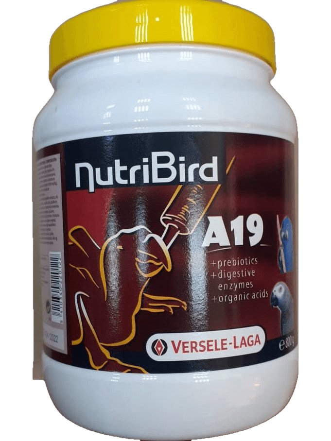 NutriBird A19 800gm - Shopivet.com