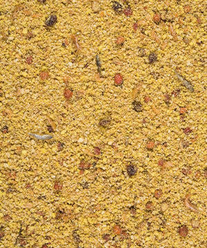 Orlux Gold Patee Egg food 5kg - Shopivet.com