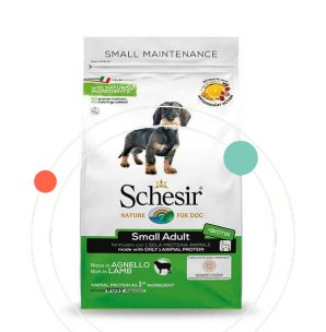 Schesir Dry Food For Small Dogs - Small Adult Rich In Lamb 800 G - Shopivet.com