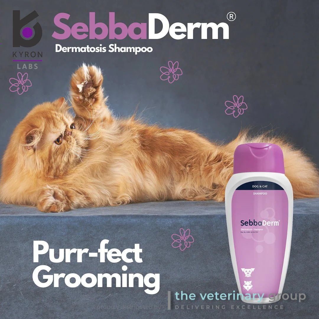 SebbaDerm® Shampoo - Shopivet.com