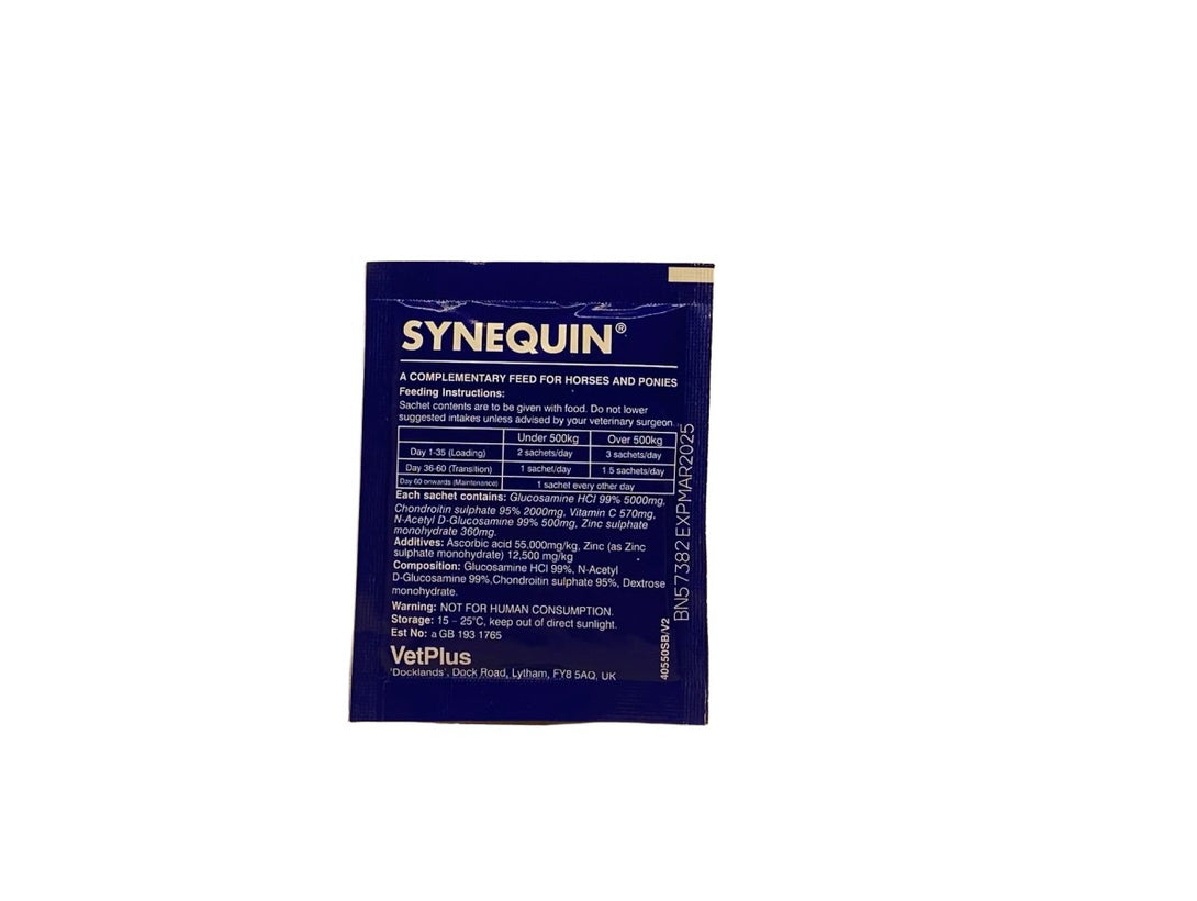 Synequine 10gm - Shopivet.com