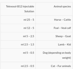 Teknosol-B12 100 ml - Shopivet.com