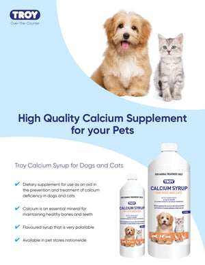 Troy Calcium Syrup 250ml - Shopivet.com