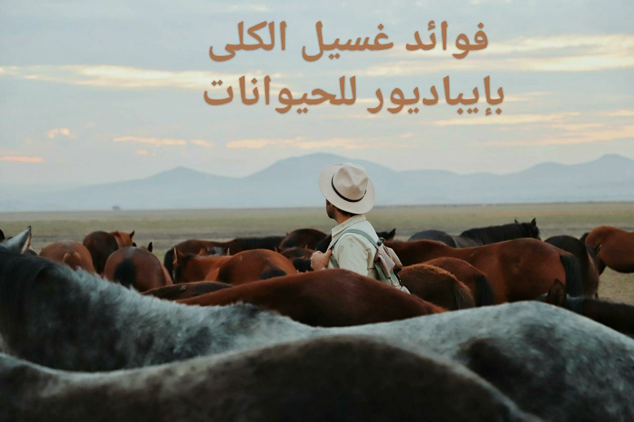 فوائد غسيل الكلى بإيباديور للحيوانات - Shopivet.com