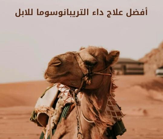 أفضل علاج داء التريبانوسوما  للابل - Shopivet.com