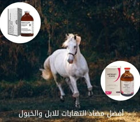 أفضل مضاد التهابات للابل والخيول - Shopivet.com