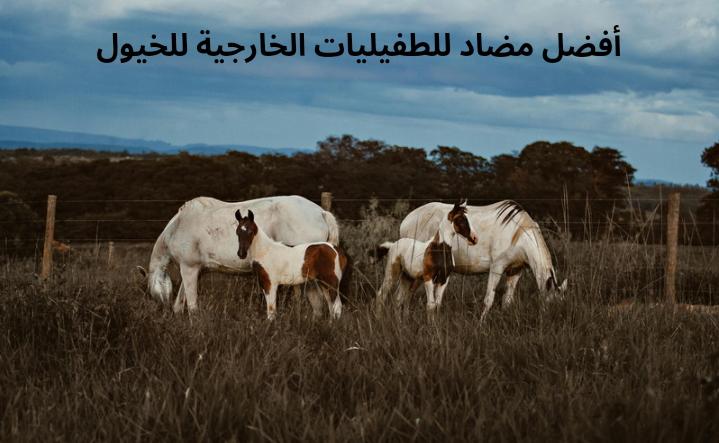 أفضل مضاد للطفيليات الخارجية للخيول - Shopivet.com