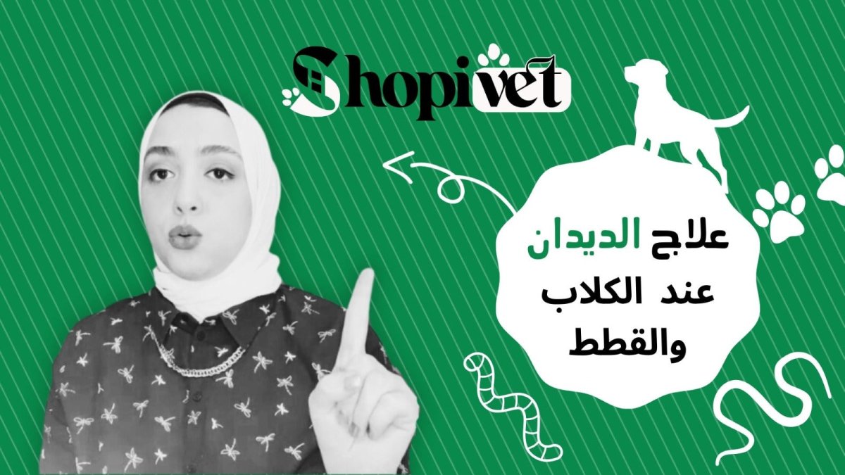 الديدان في الحيوانات الأليفة - Shopivet.com