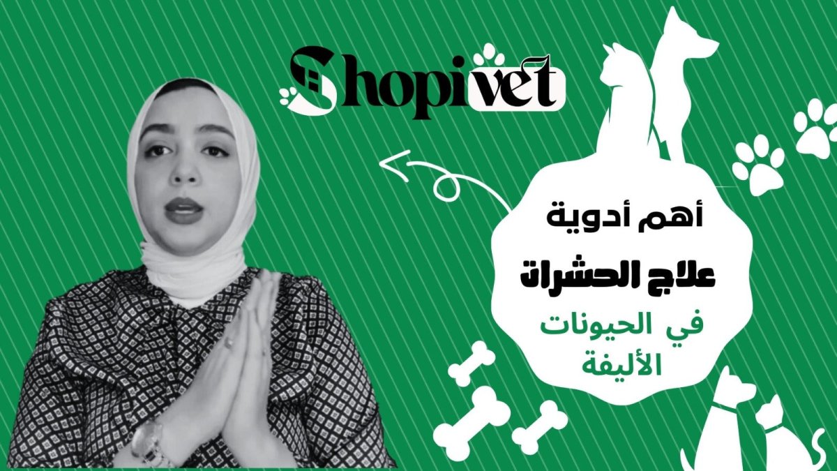 الحشرات في الحيوانات الأليفة - Shopivet.com