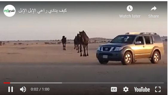 شاهد: مناداة الإبل أو "الحداء" موروث سعودي أدرج على لائحة اليونسكو للتراث الثقافي - Shopivet.com