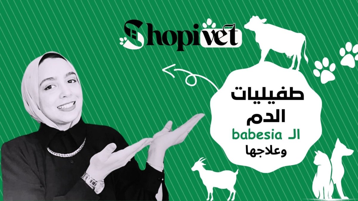 طفيليات الدم البابيزيا وعلاجها - Shopivet.com