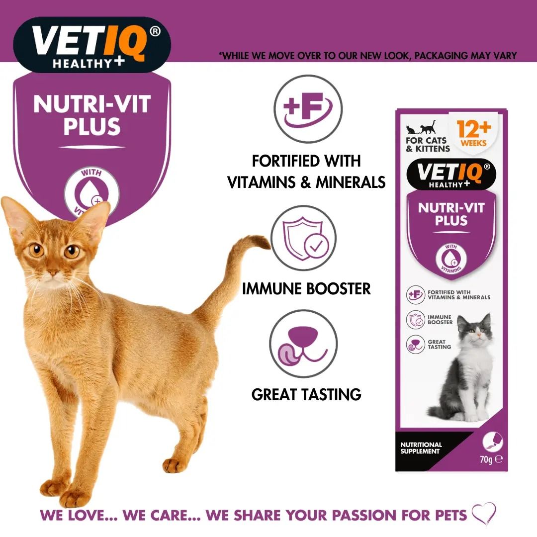 VETIQ Nutri-Vit Plus Cat Supplement 70g - 70g