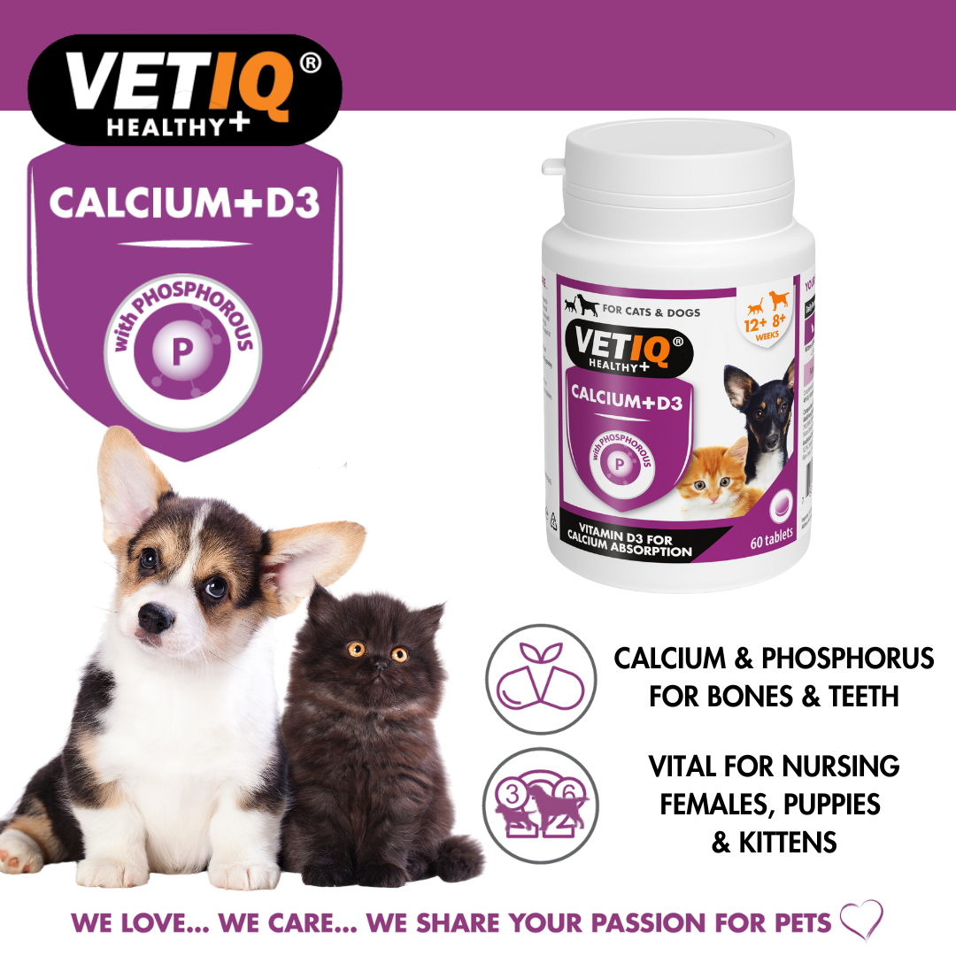 VETIQ Calcium +D3 Cat & Dog Supplement 60 Tablets -