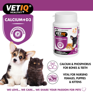 VETIQ Calcium +D3 Cat & Dog Supplement 60 Tablets -